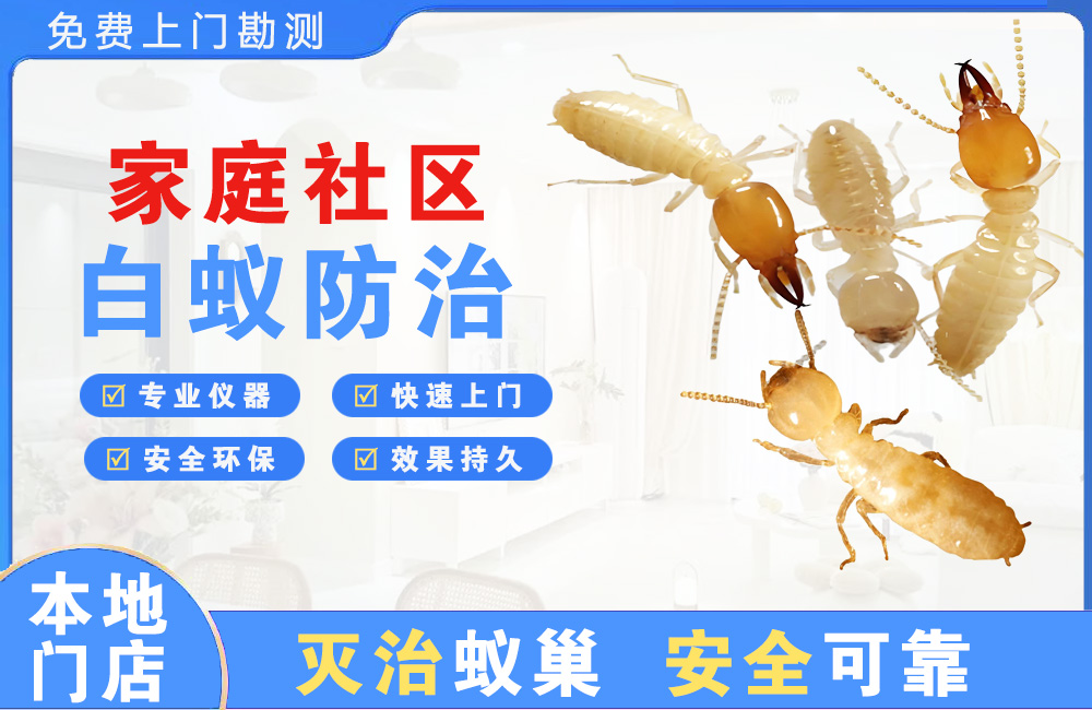 益阳家庭社区白蚁防治