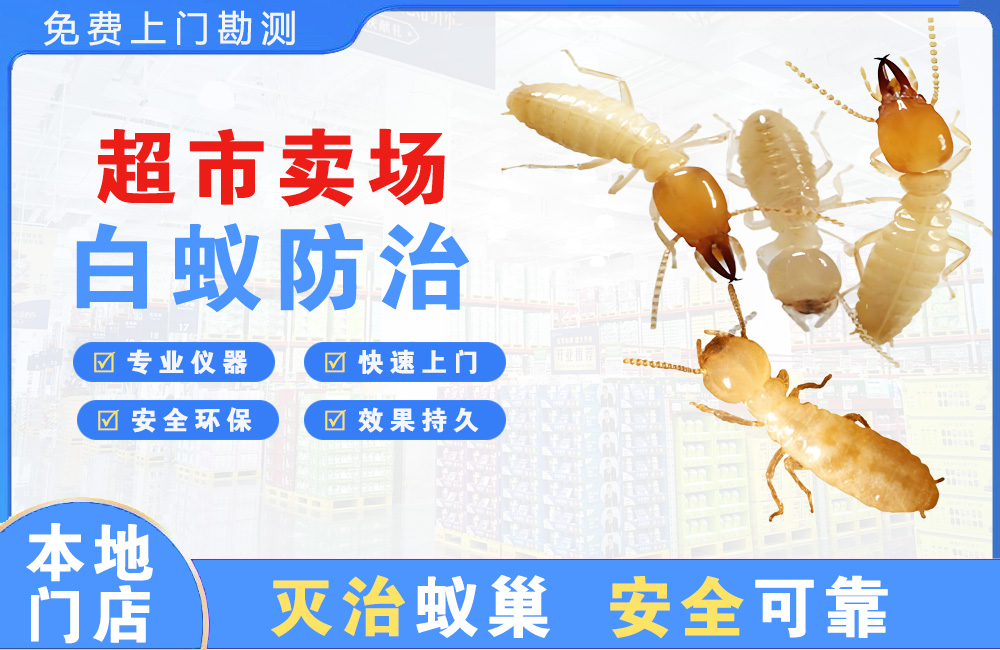 益阳超市卖场白蚁防治