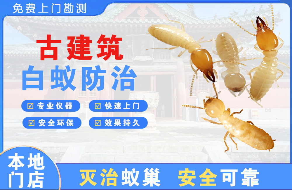 益阳古建筑白蚁防治