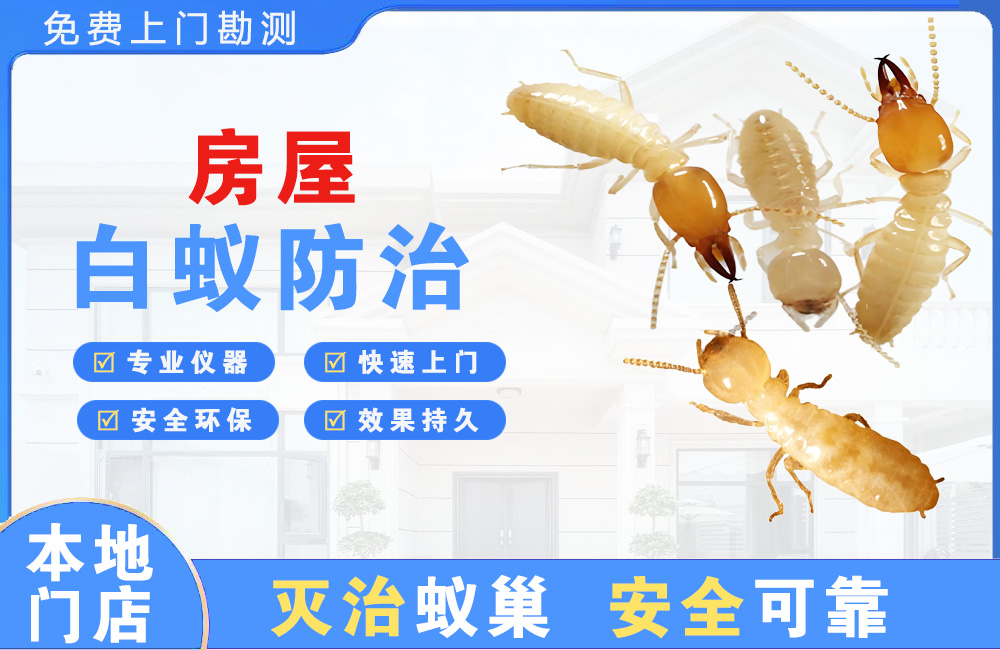 益阳房屋白蚁防治