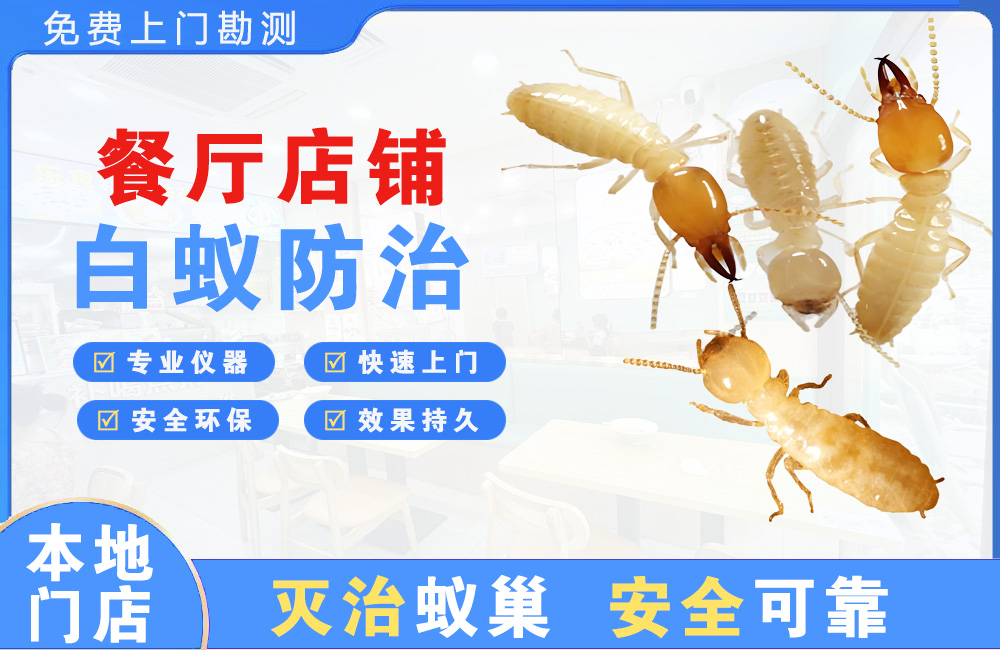 益阳餐厅店铺白蚁防治